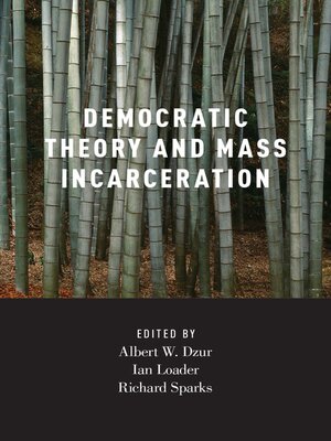 cover image of Democratic Theory and Mass Incarceration